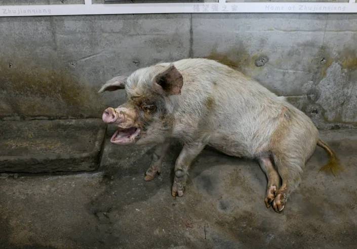 2025年11月16日 第7页