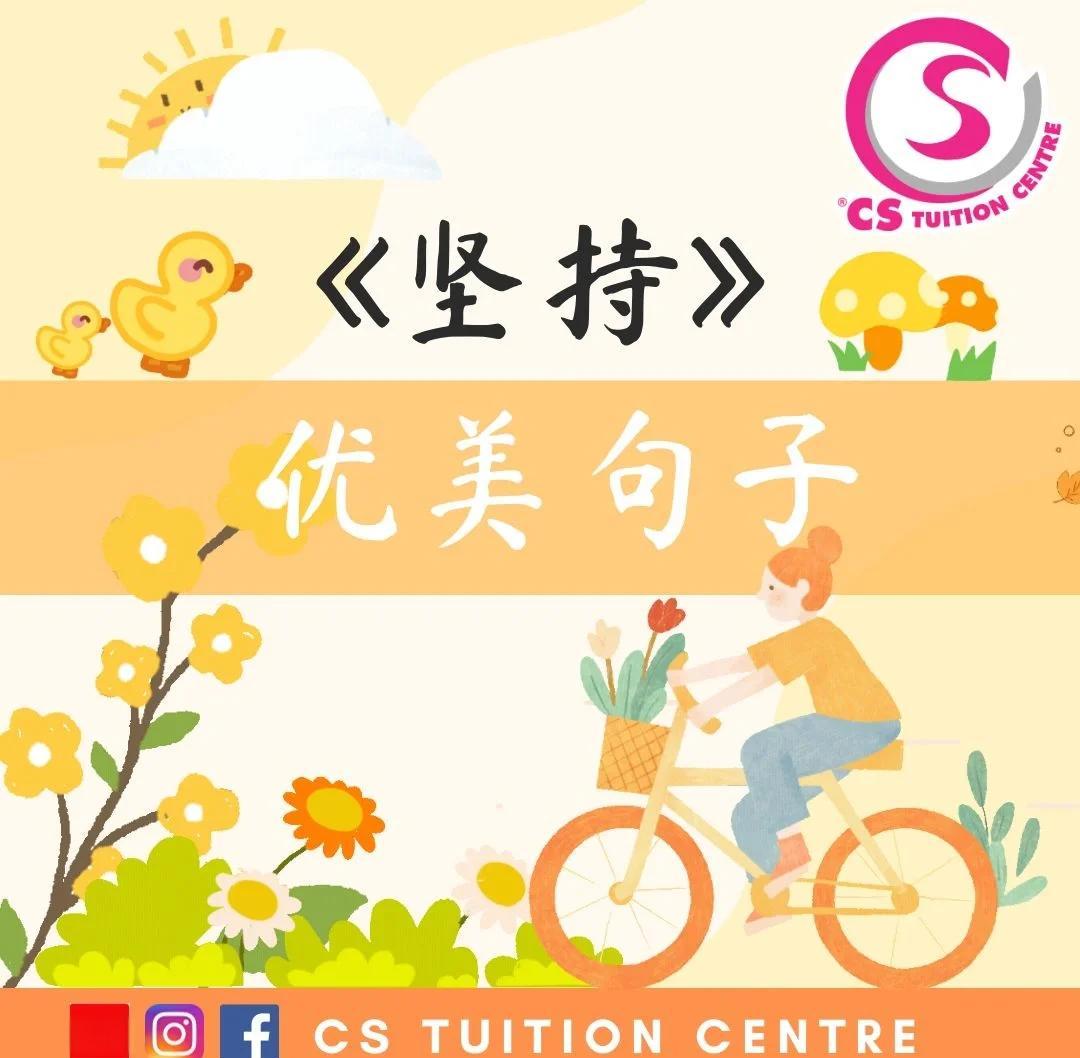 关于坚持的优美句子