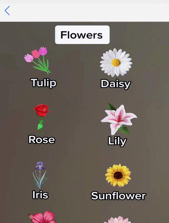 种植英语怎么读