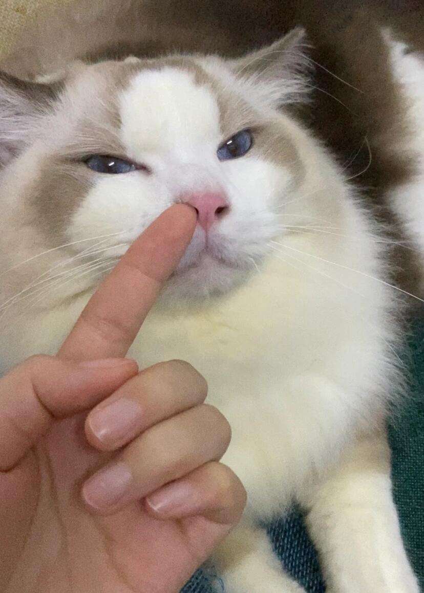 女生回复抠鼻表情是什么意思