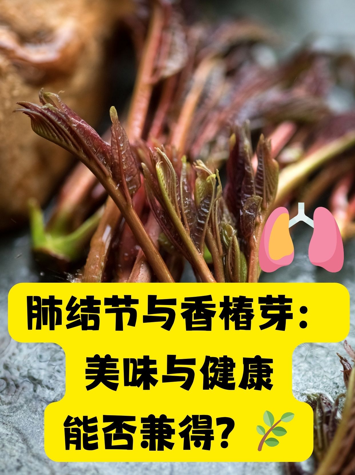 香椿芽有哪些功效呢?