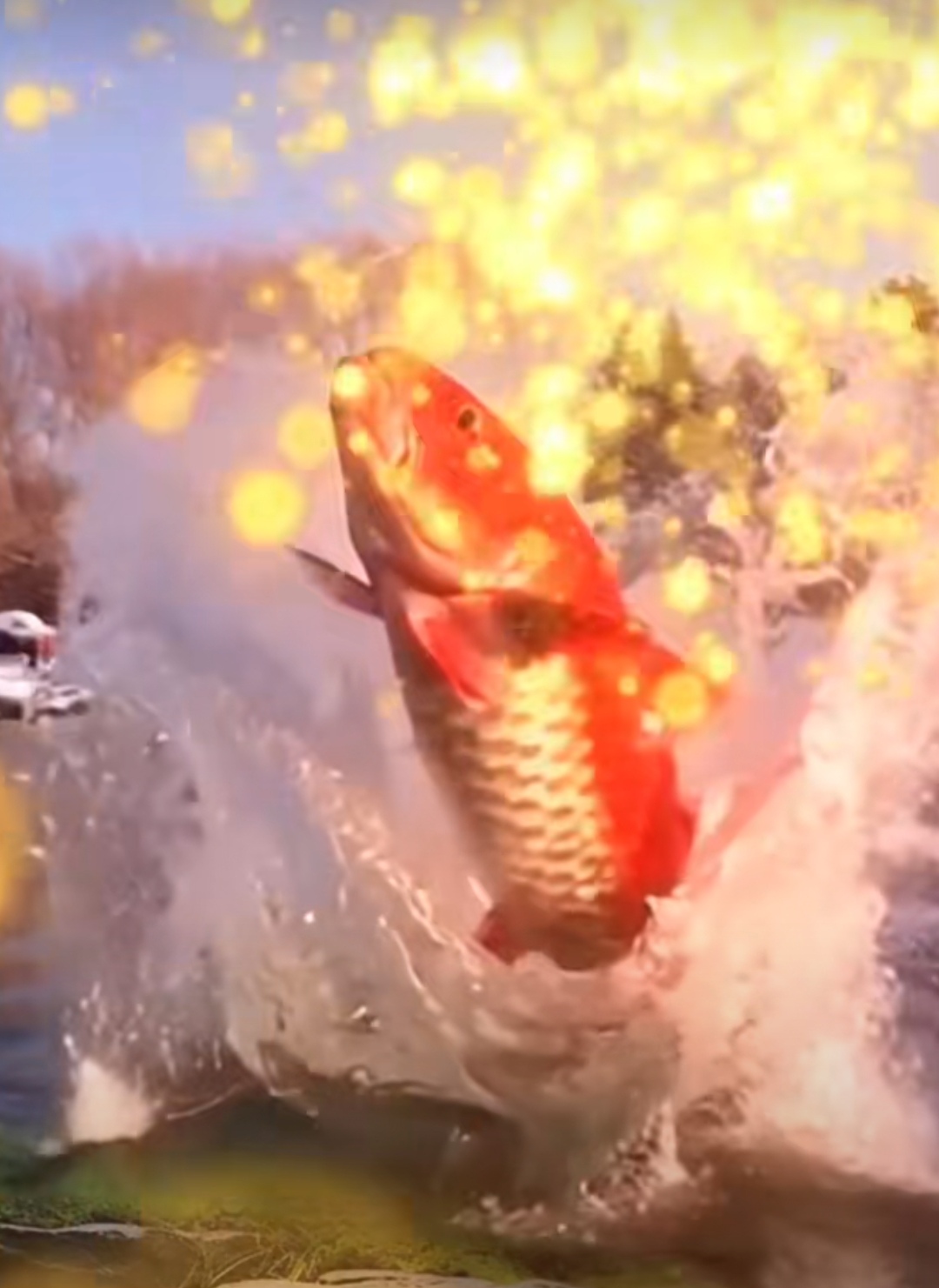 梦见水中有巨大的鱼