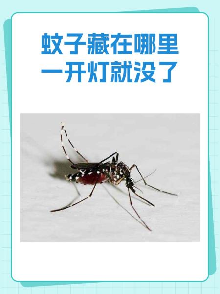 开着灯睡蚊子还会咬吗