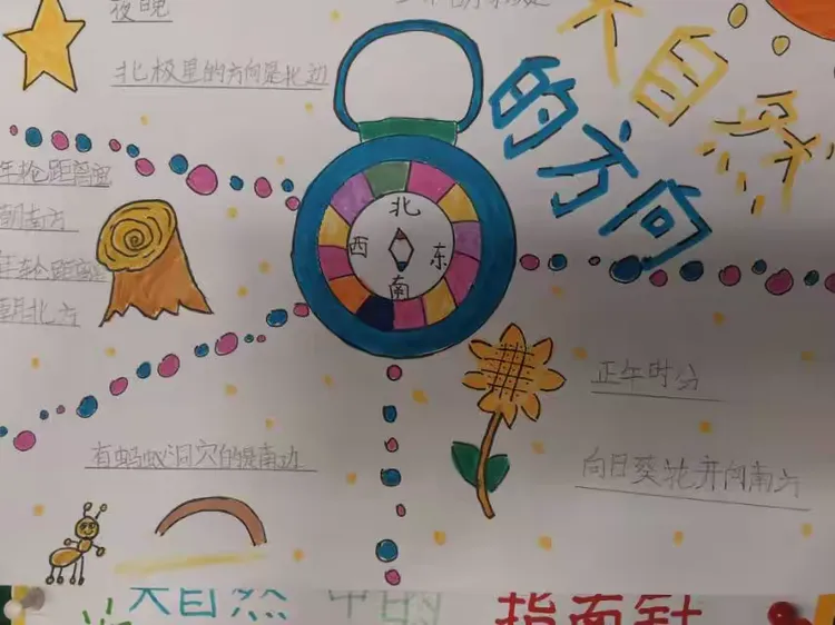 大自然中的指南针有哪些月亮