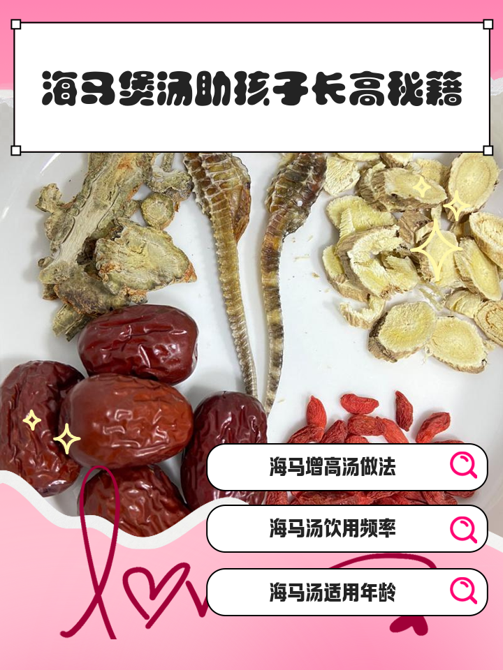 海马煲汤最佳搭配