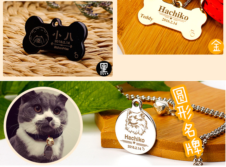 狗牌上写什么内容好