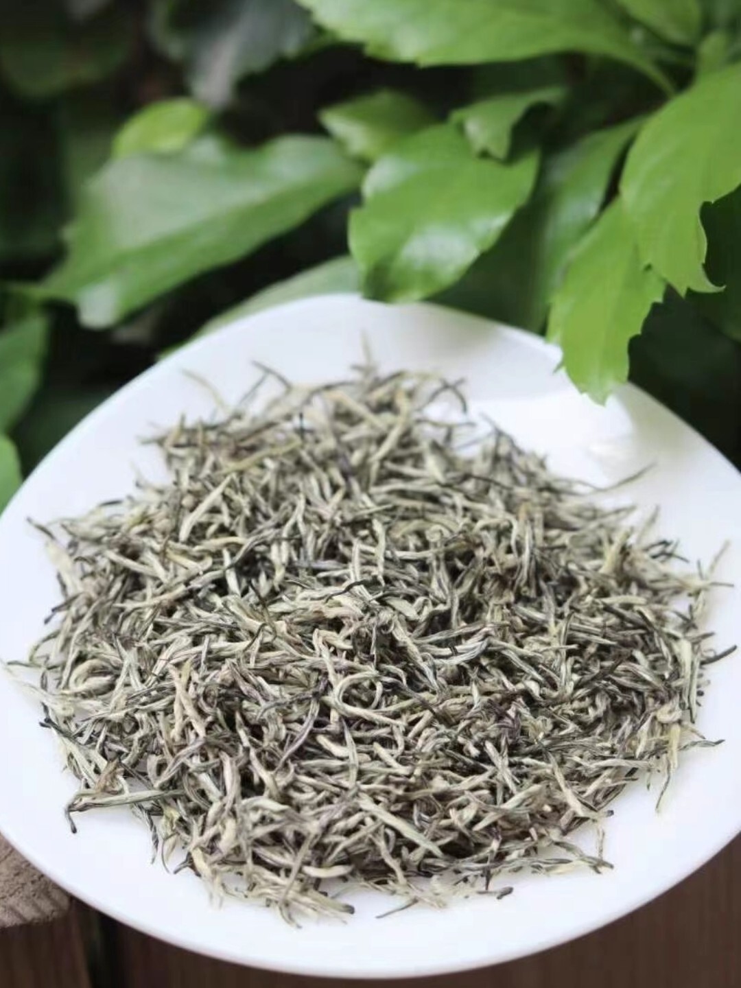 春茶有哪些知名的品牌