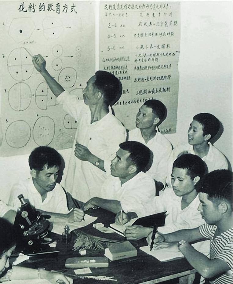 袁隆平是哪里人老家在哪里