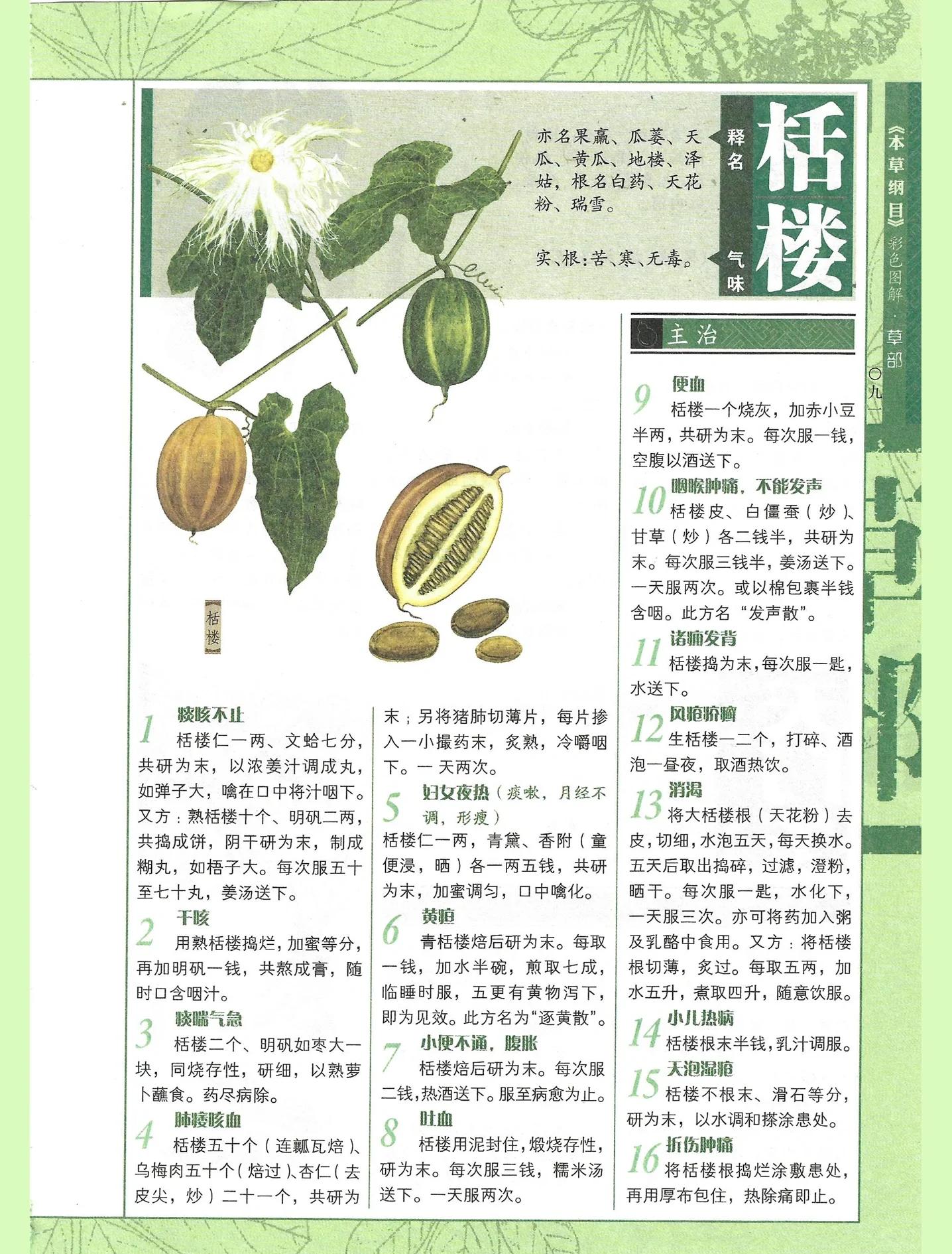 瓜蒌的功效与作用