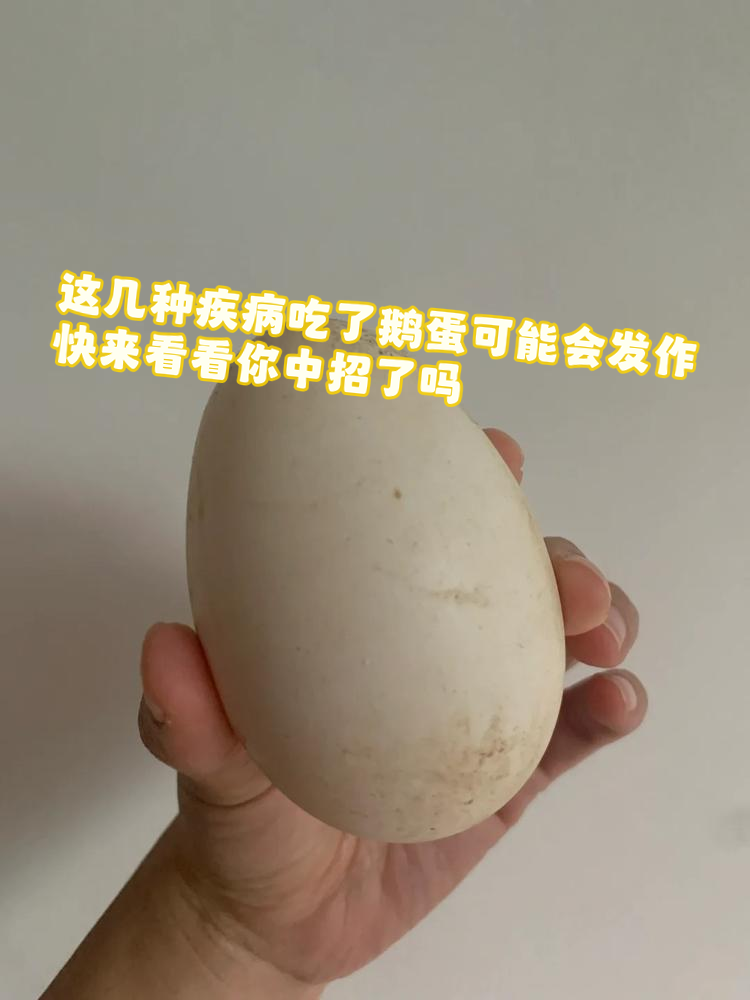 鹅蛋相克的食物有哪些香哈网