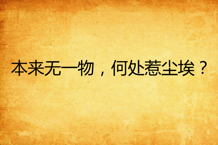 何处惹尘埃啥意思