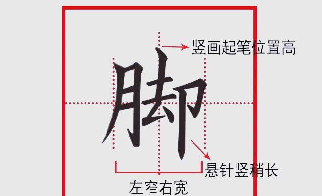 脚字组词2个字