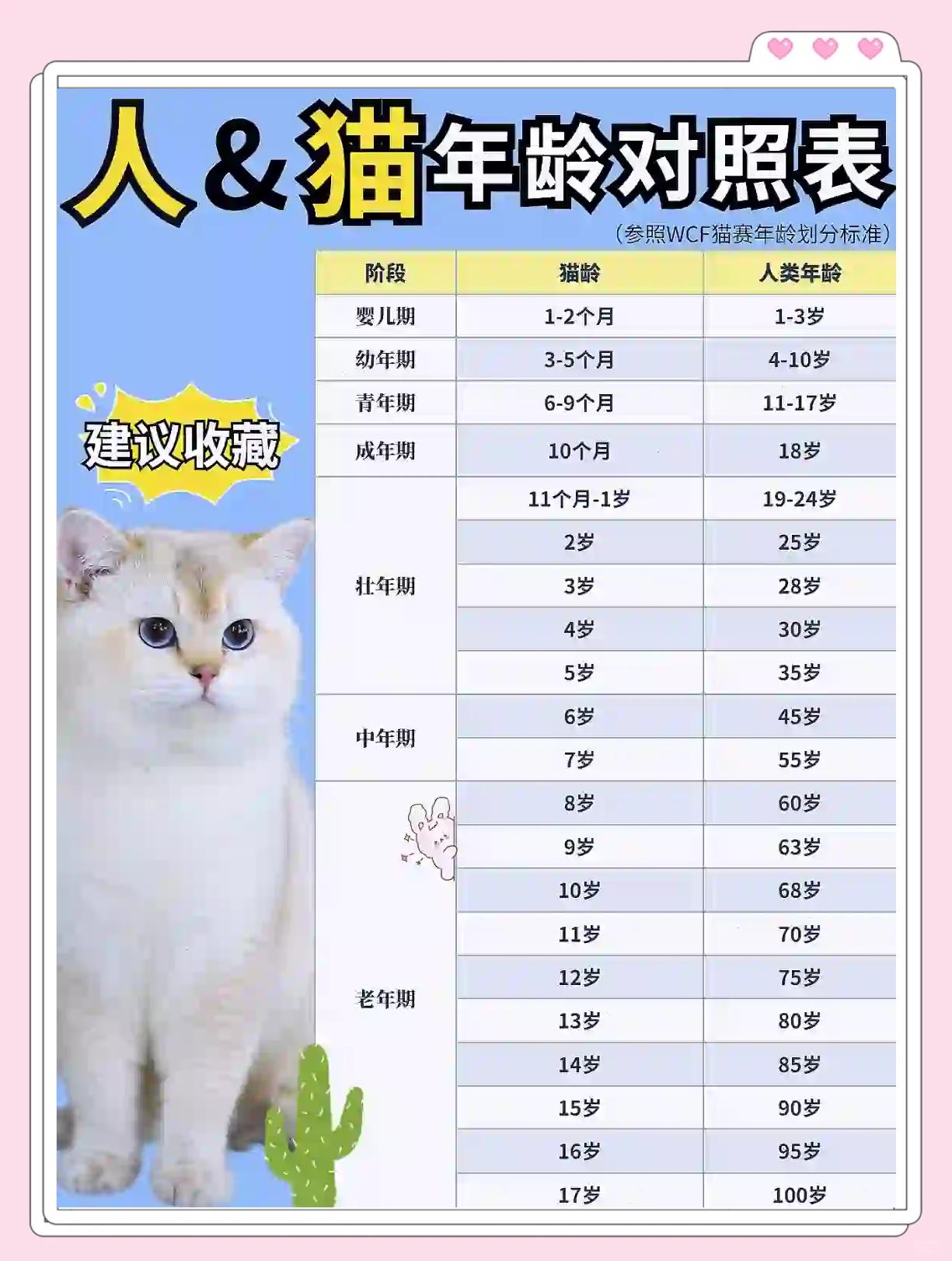 一年猫相当于几岁智商多少