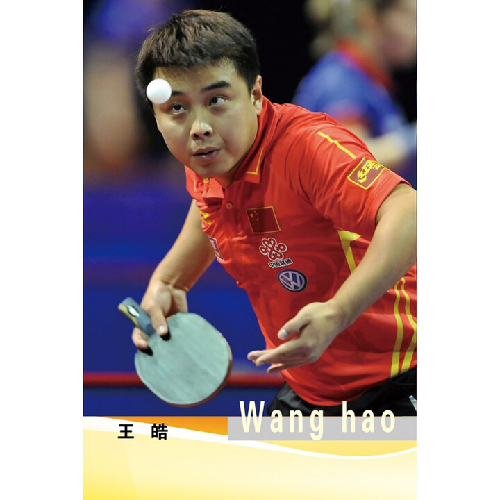 乒乓球运动员王浩老婆的照片