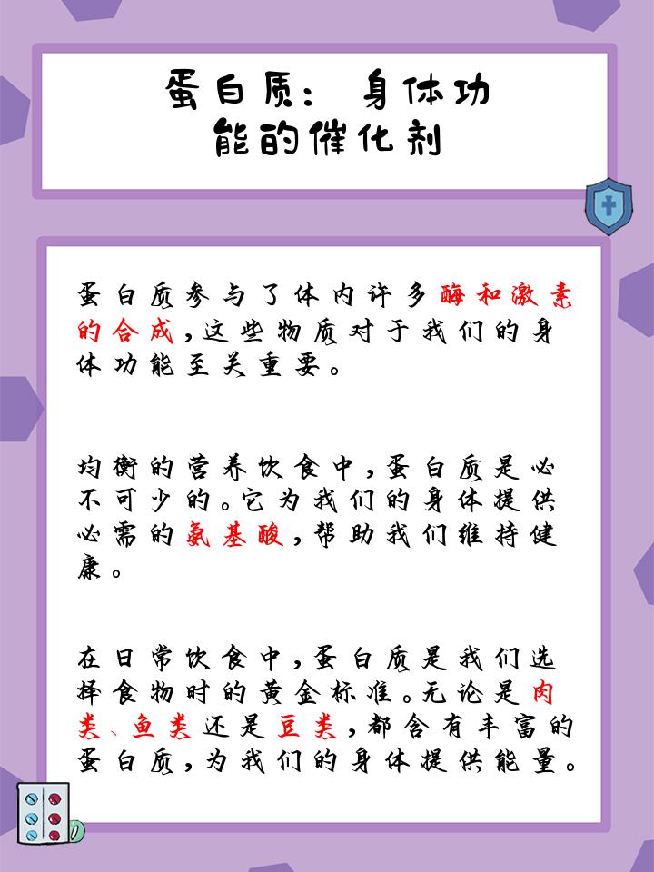 蛋白质的功能有哪些举例说明