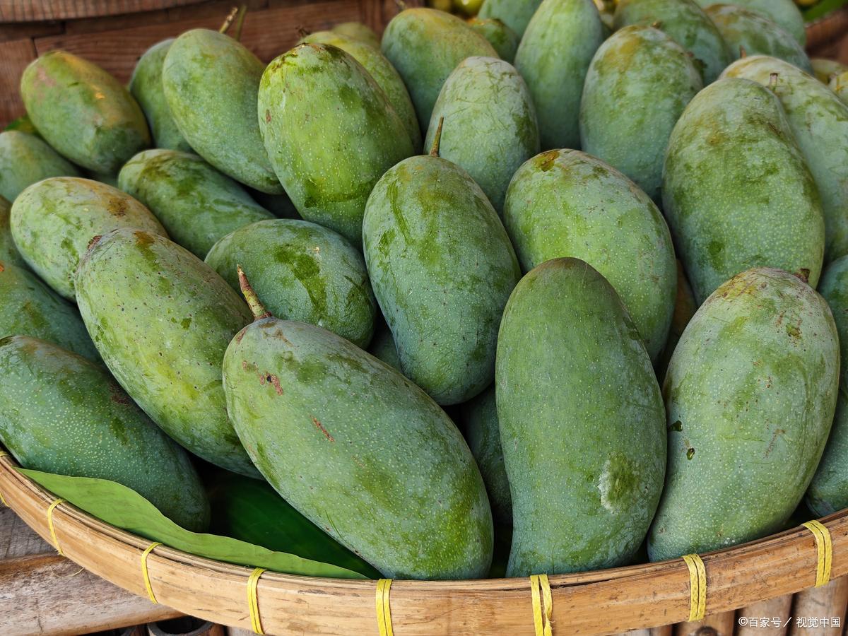 芒果青的熟了吗