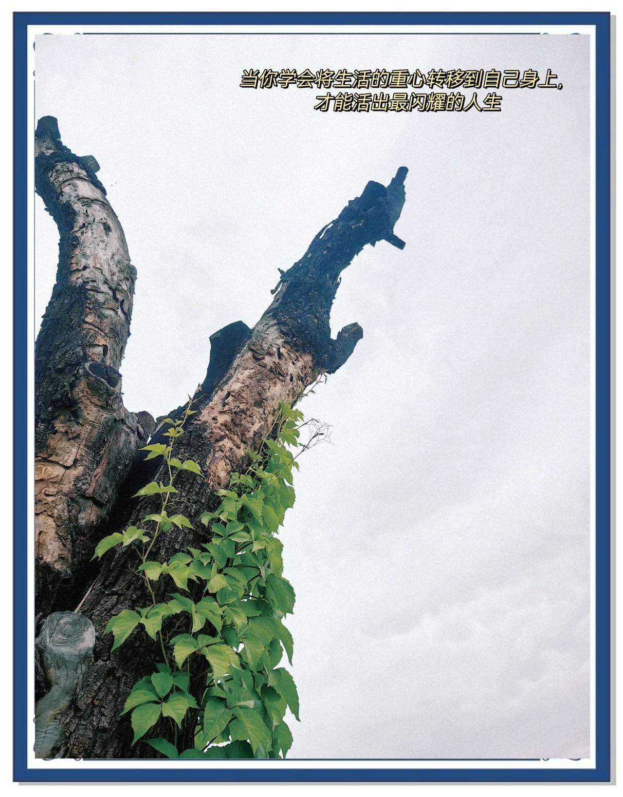 思前想后是什么意思怎么解释