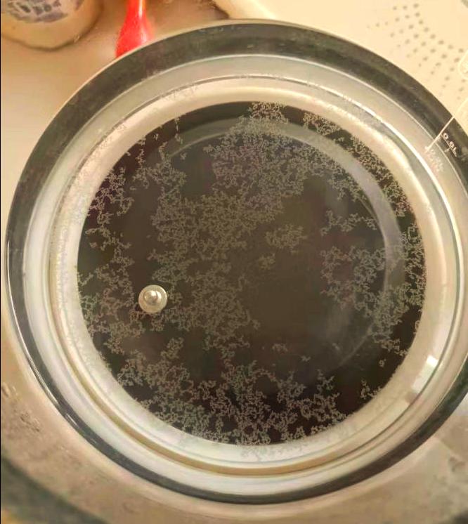 水烧开后有白色漂浮物怎样去除