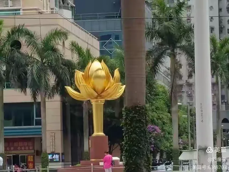 澳门是啥花的标志