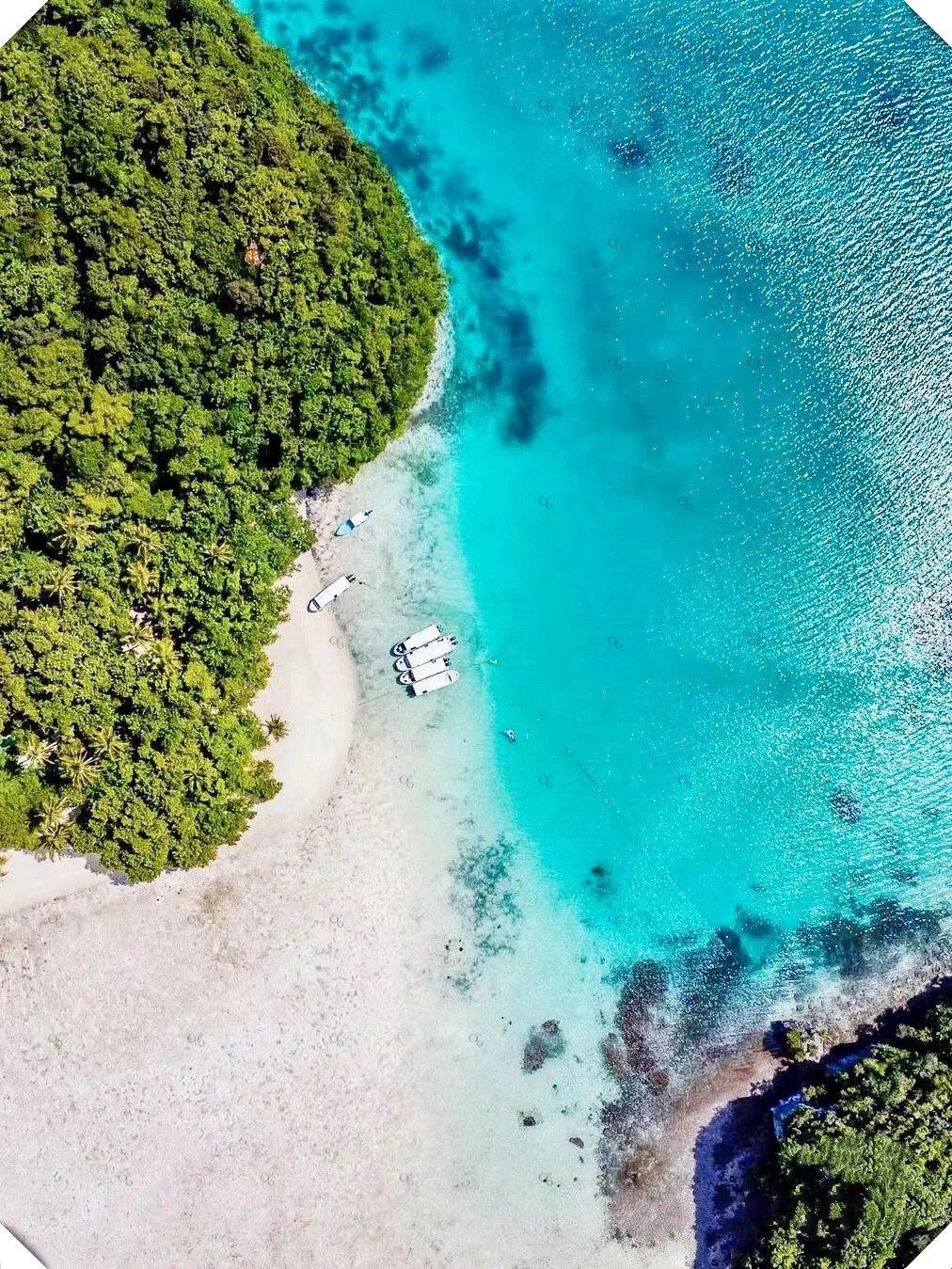 帕劳为什么不和我们建交