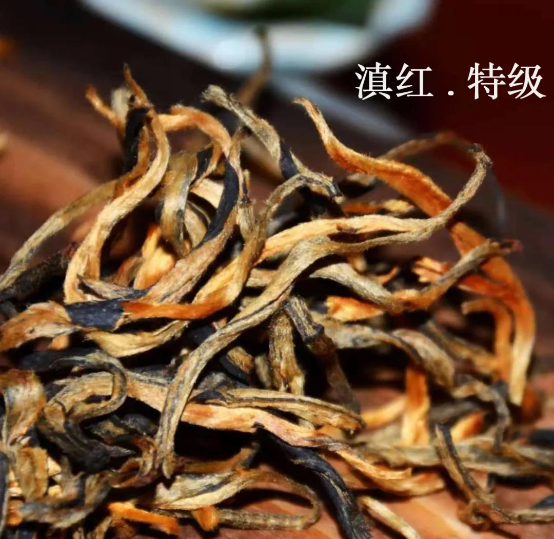 云南滇红是哪种红茶