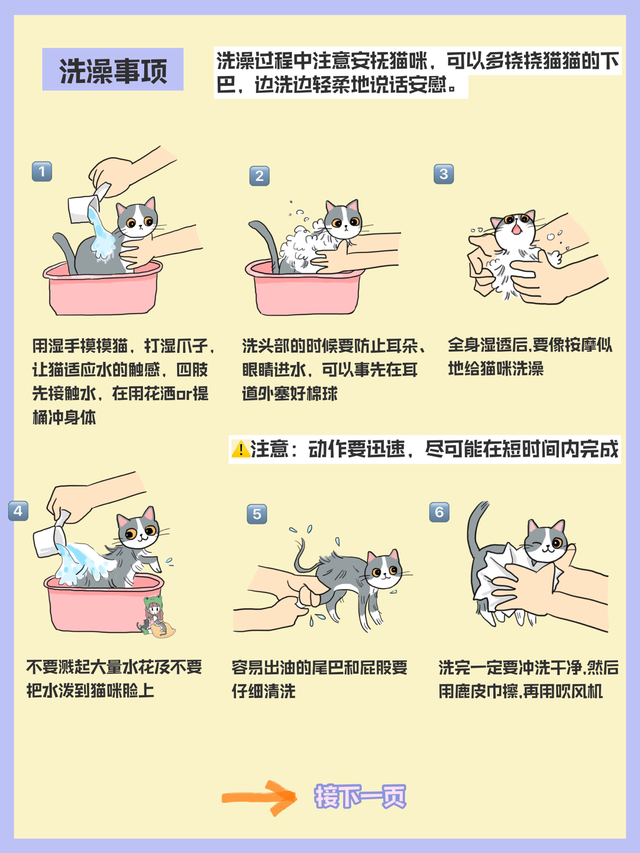 怎么给猫洗澡 技巧