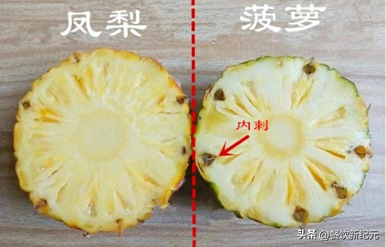 凤梨和菠萝一样吗英语