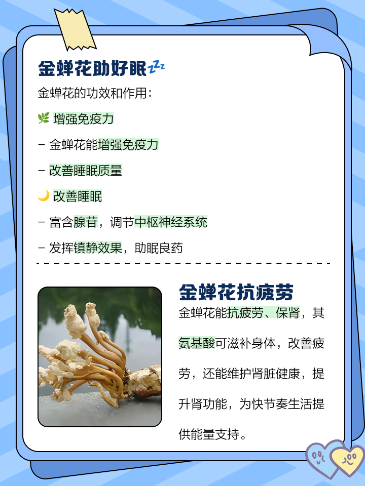 知了是怎么形成的步骤