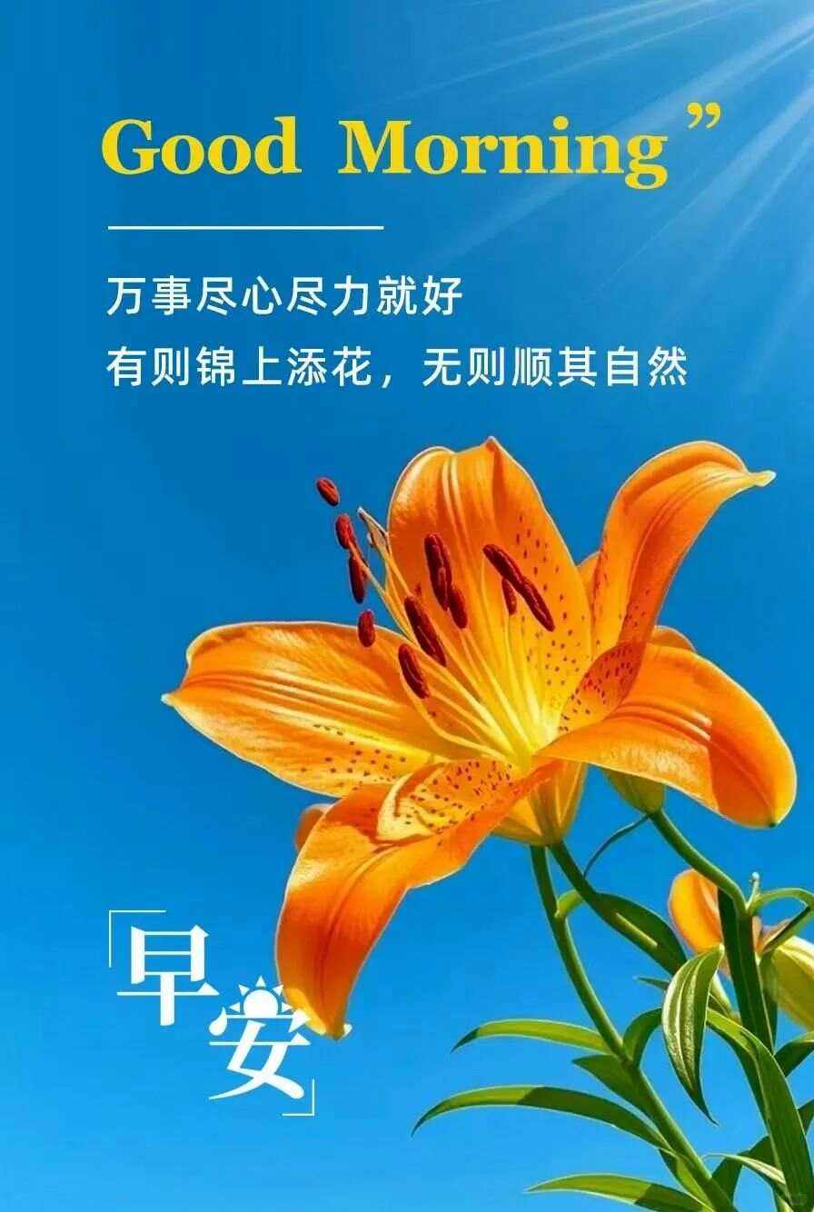 早安正能量的朋友圈句子