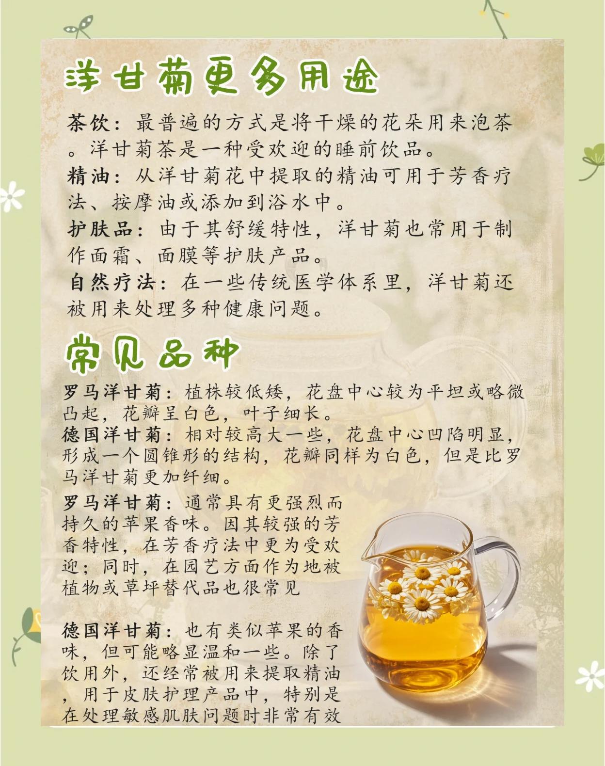 甘和茶如何煎煮