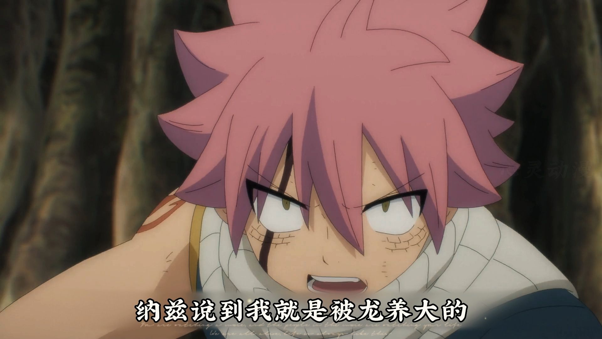 妖精的尾巴四个龙对打是哪一集