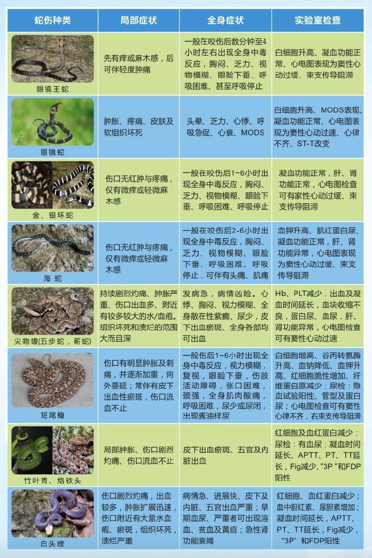 世界十大毒王介绍大全