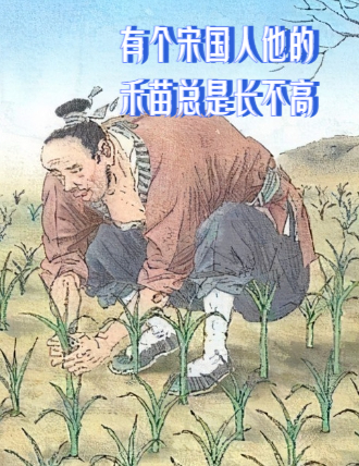 揠苗助长中禾苗枯死是因为什么这则故事告诉我们什么