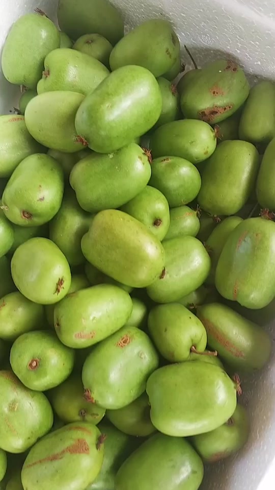 枣的功效和作用