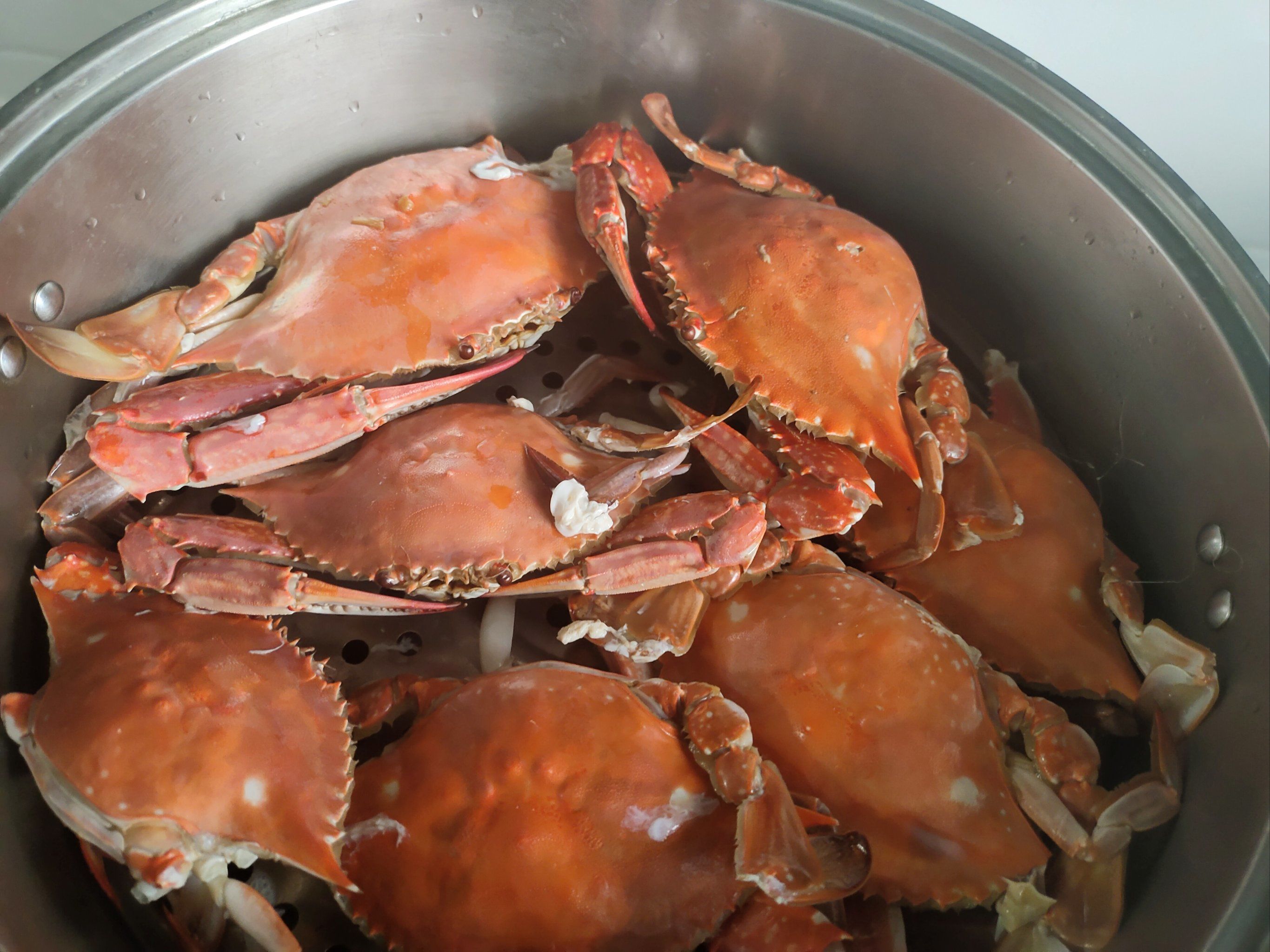 正确蒸螃蟹的方法蒸多久