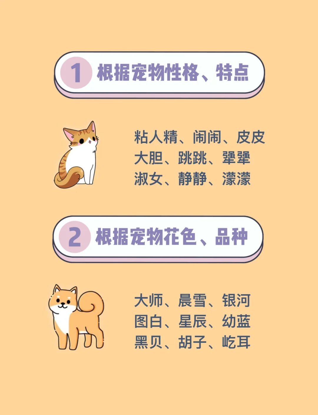 宠物取名字大全可爱