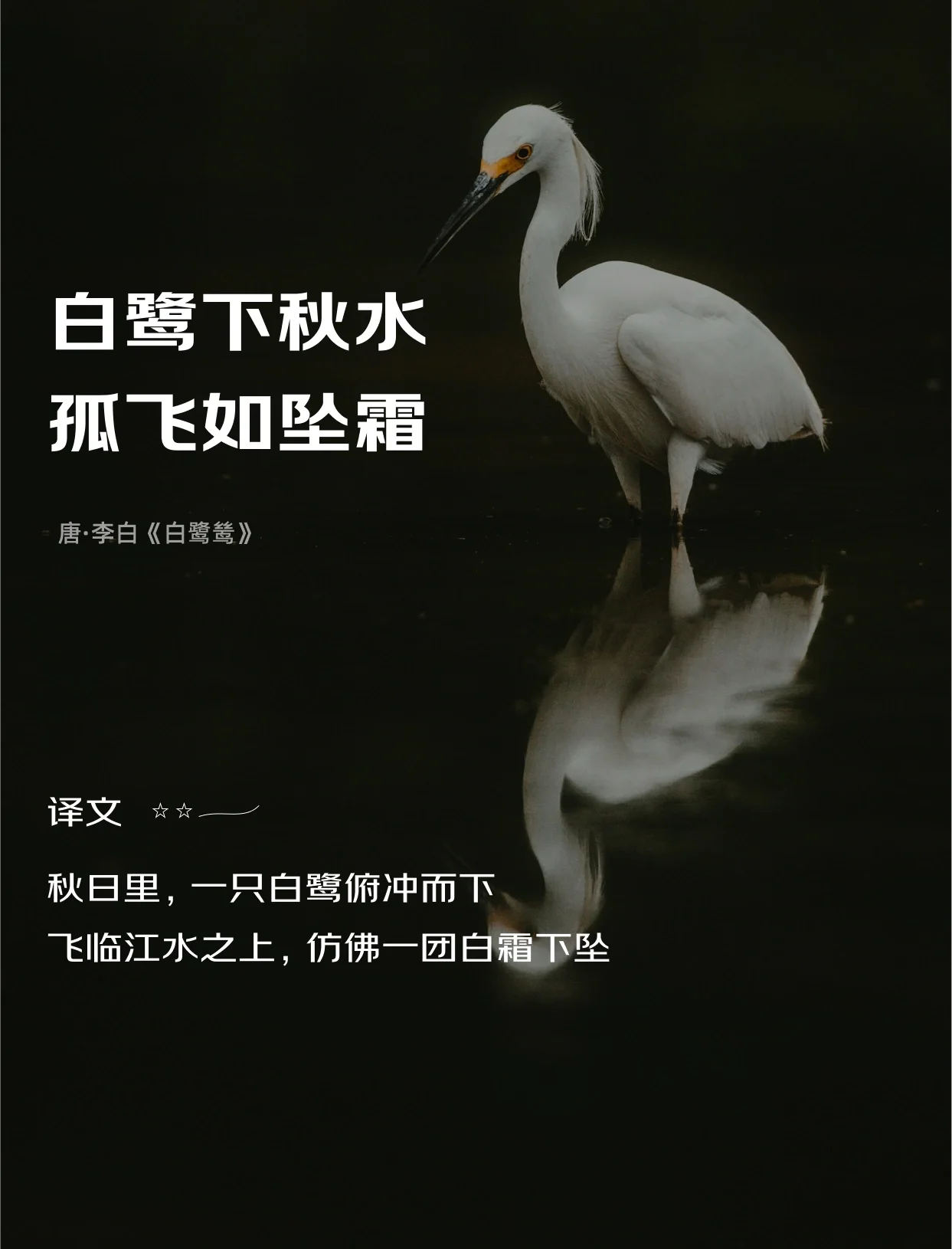 关于鸟的诗句古诗大全