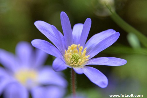 做梦梦见挖红薯好不好