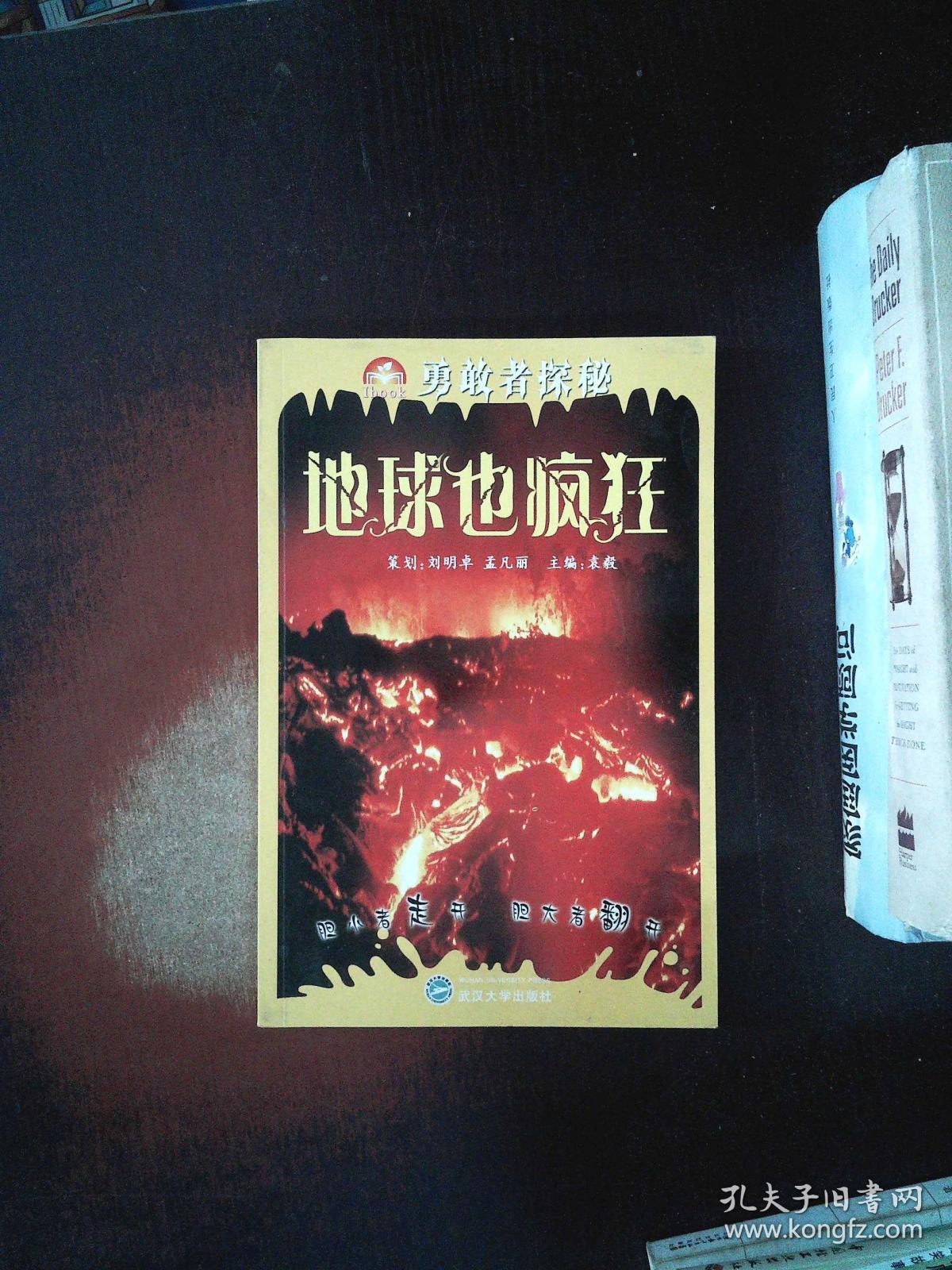 疯狂的意思解释