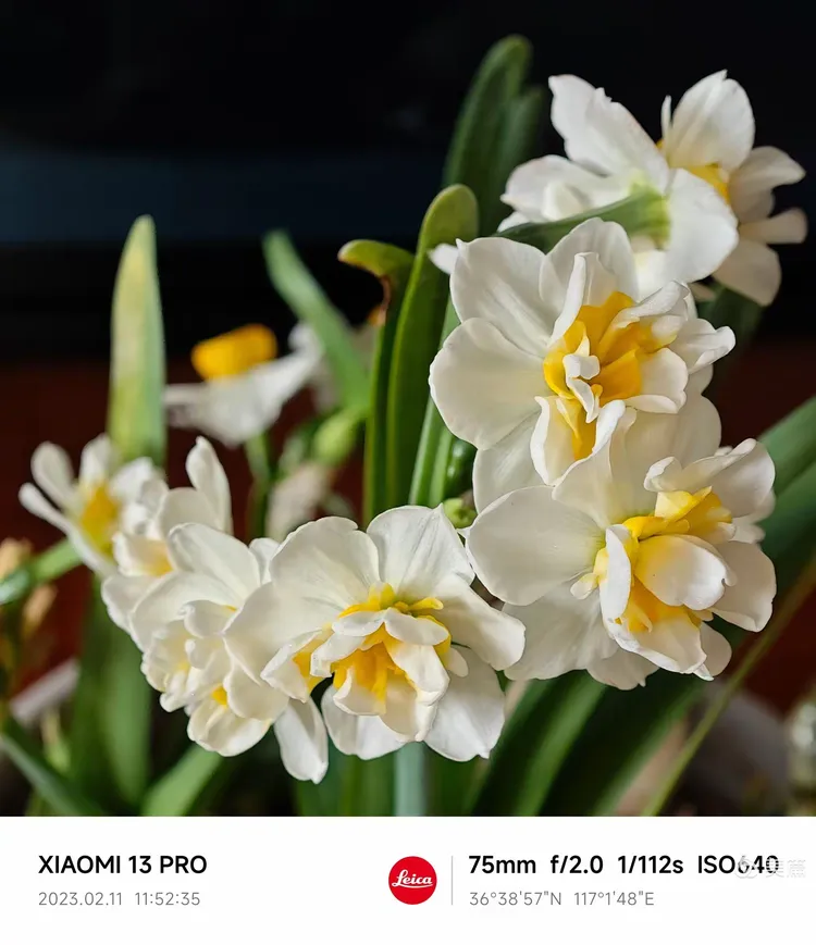 2025年11月25日 第2页