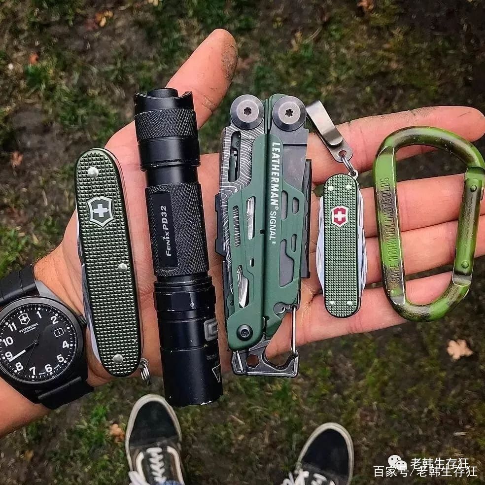 国外聊天工具有哪些图片