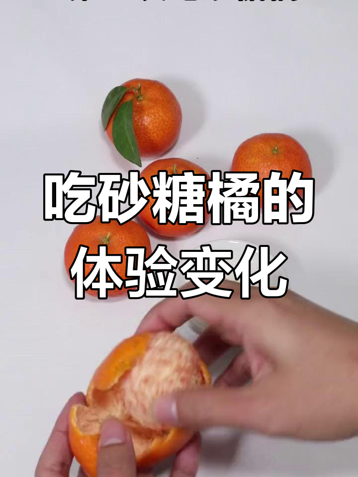 橘跟桔的区别在哪