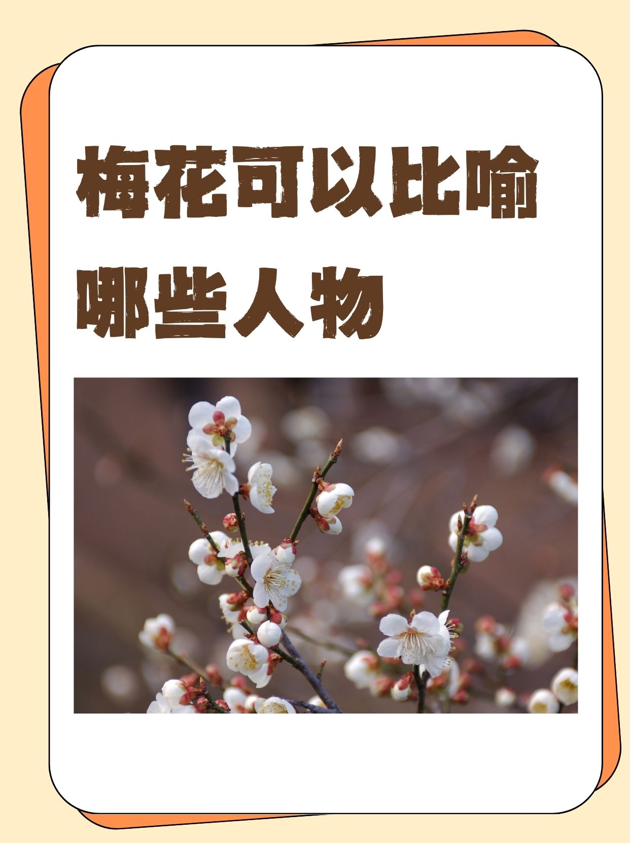 梅花的7种象征意义