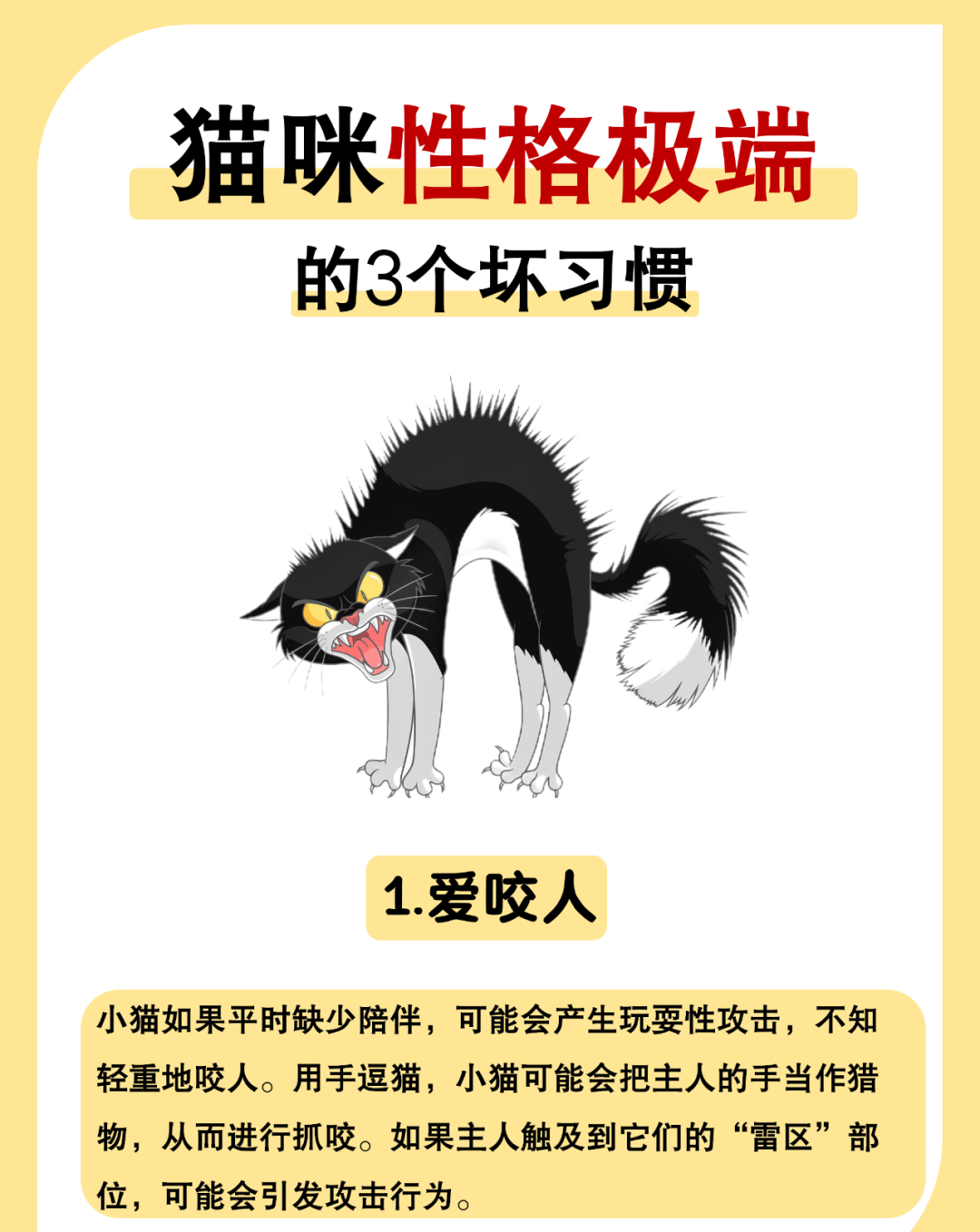 凌晨一点多猫叫