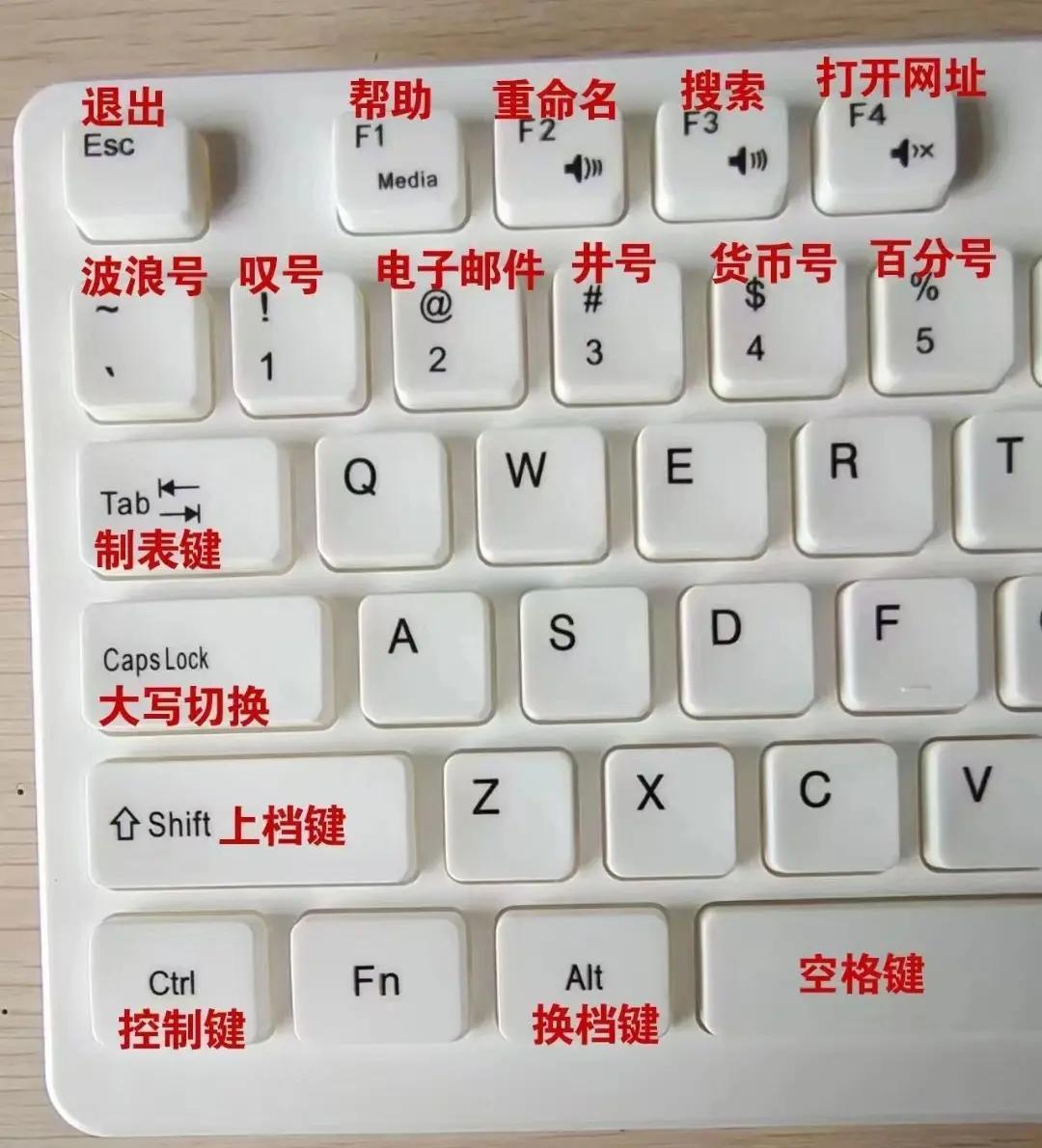 电脑怎么输入网址直接进入网页