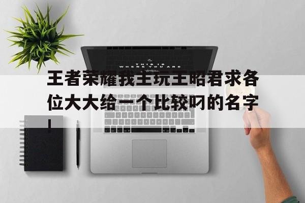王者荣耀我主玩王昭君求各位大大给一个比较叼的名字!