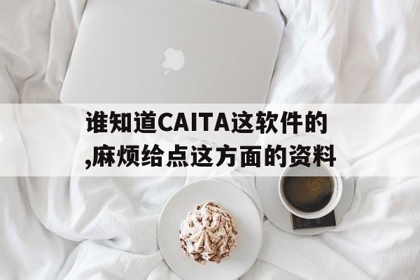 谁知道CAITA这软件的,麻烦给点这方面的资料
