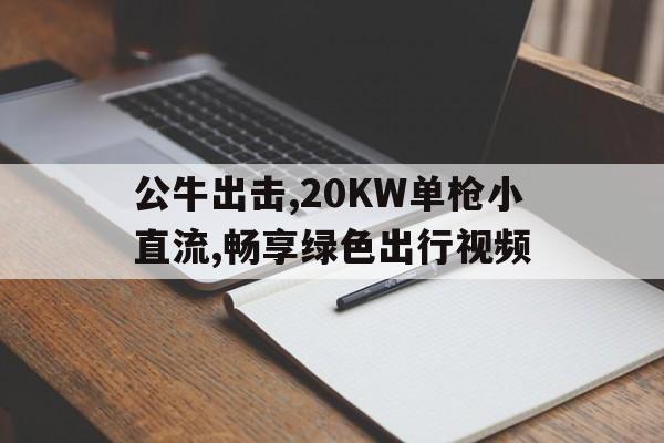 公牛出击,20KW单枪小直流,畅享绿色出行视频