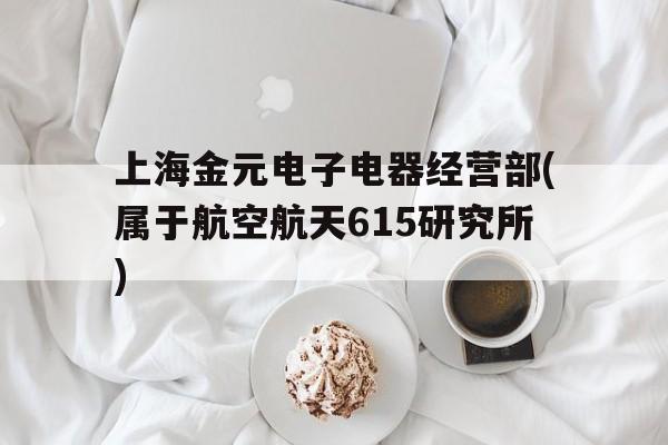 上海金元电子电器经营部(属于航空航天615研究所)