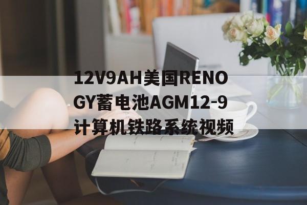 12V9AH美国RENOGY蓄电池AGM12-9计算机铁路系统视频